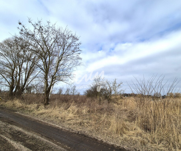 Działka Sprzedaż Czarna Łąka 3